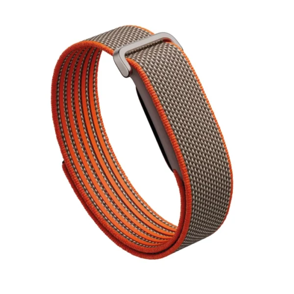 Google Fitbit Air