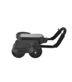 Green Lion Abs Exercise Roller