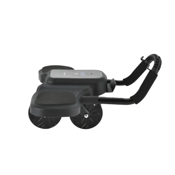 Green Lion Abs Exercise Roller