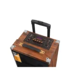 BAAB 12″ PORTABLE STEREO B-Q12 - Image 2