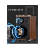 BAAB 12″ PORTABLE STEREO B-Q12 - Image 3